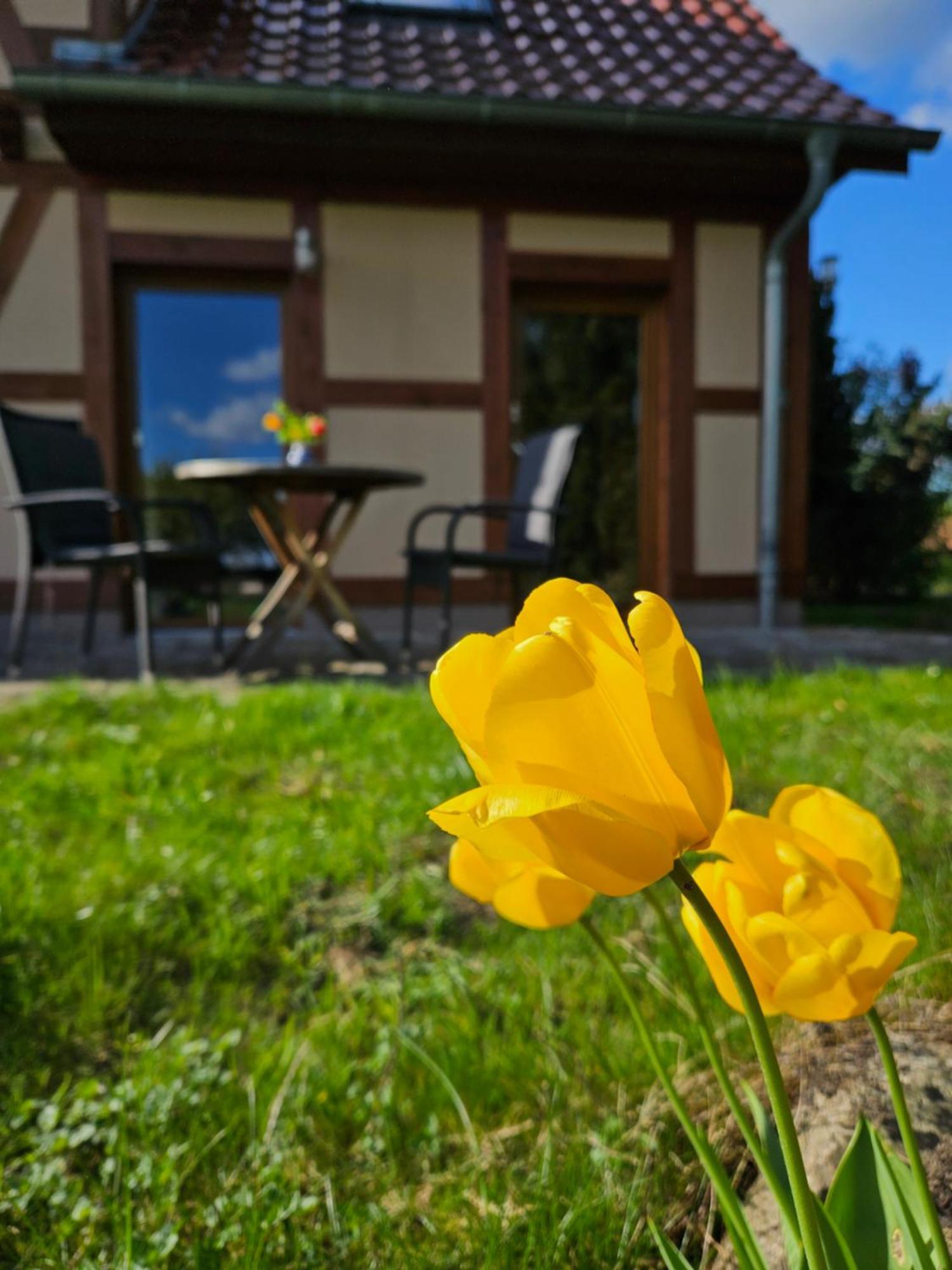 Ferienwohnung Peetsch Am See Миров Экстерьер фото