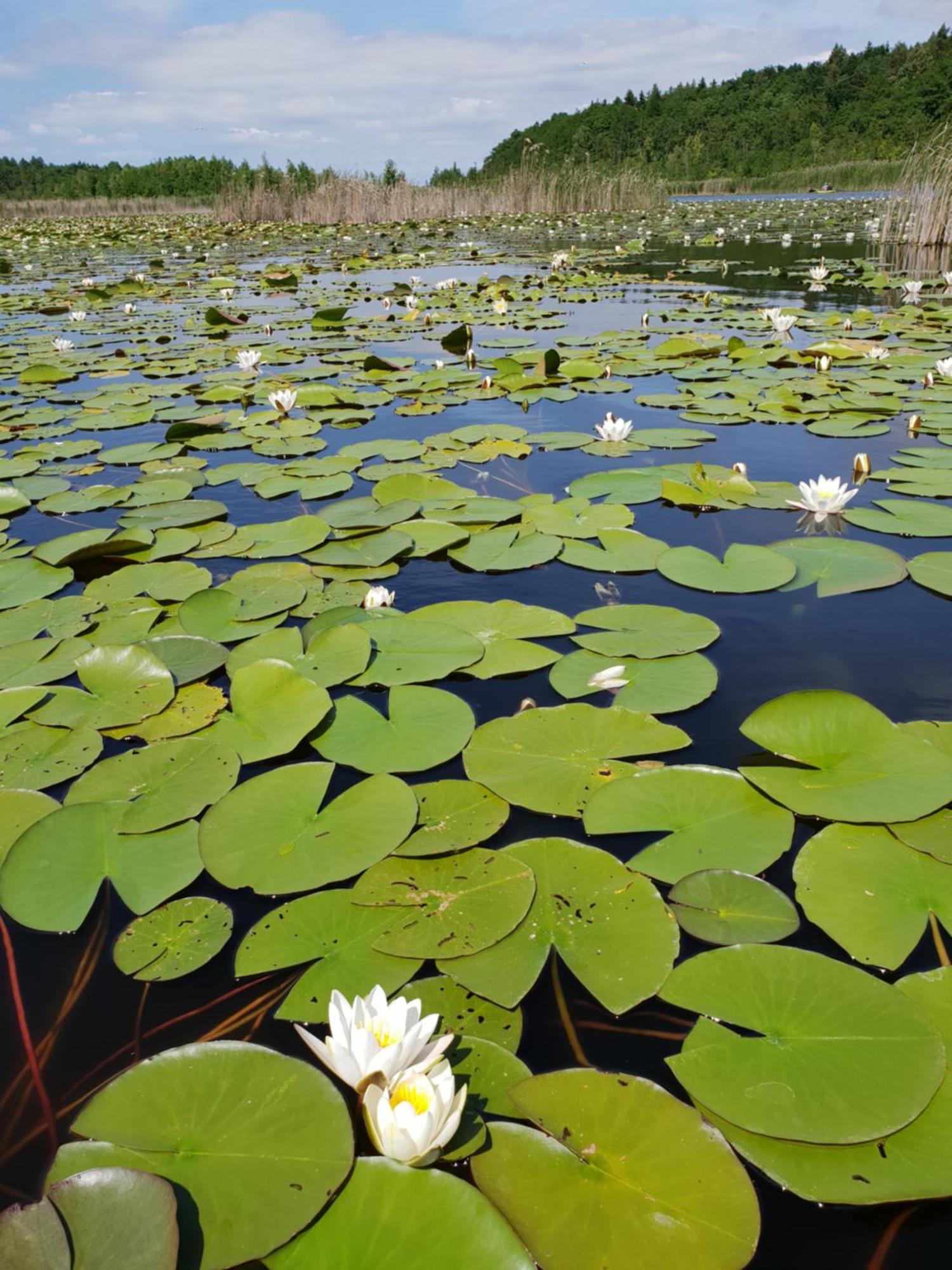 Ferienwohnung Peetsch Am See Миров Экстерьер фото